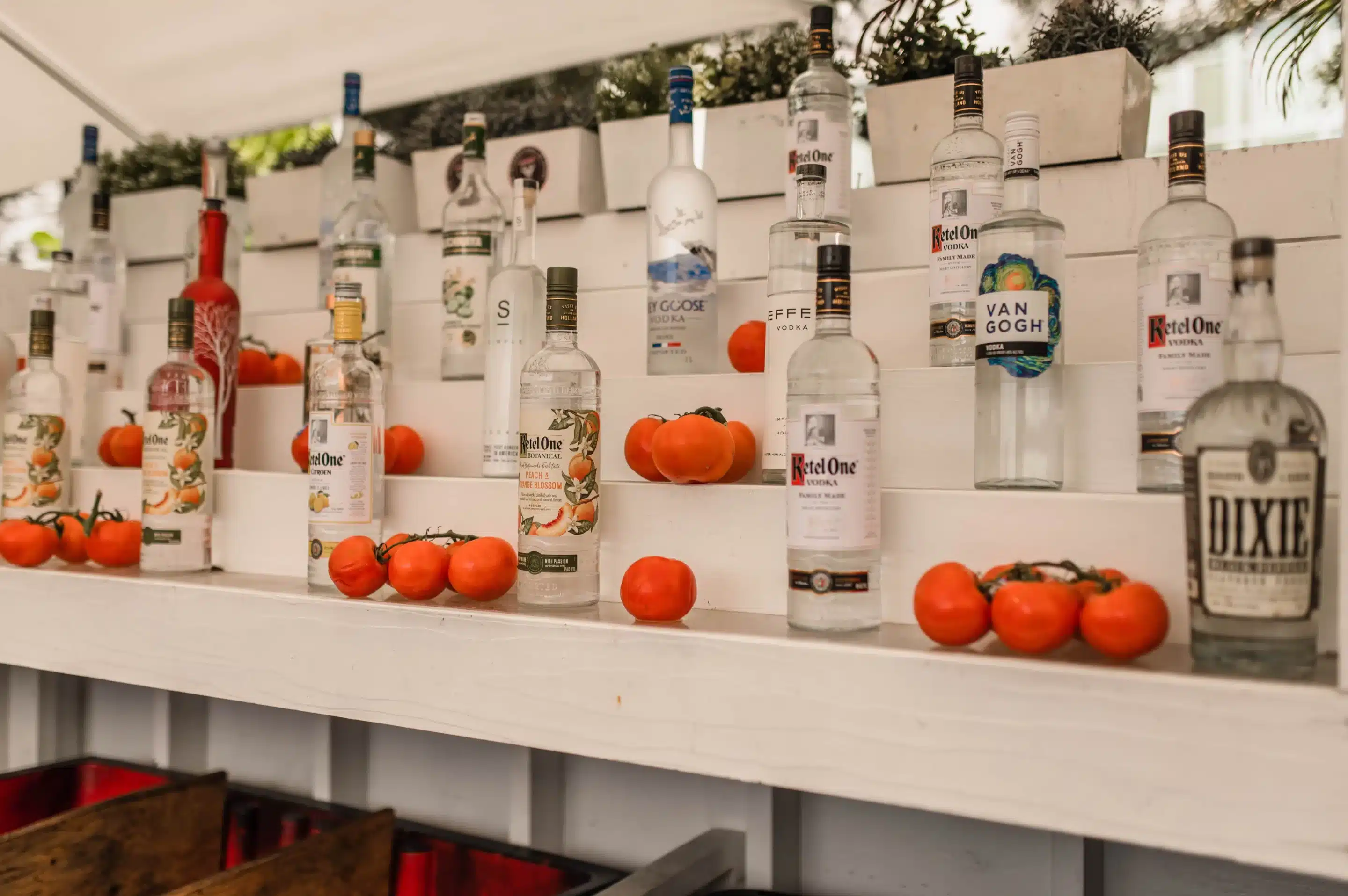 5 Of The Best Vodka Drinks You Need To Try